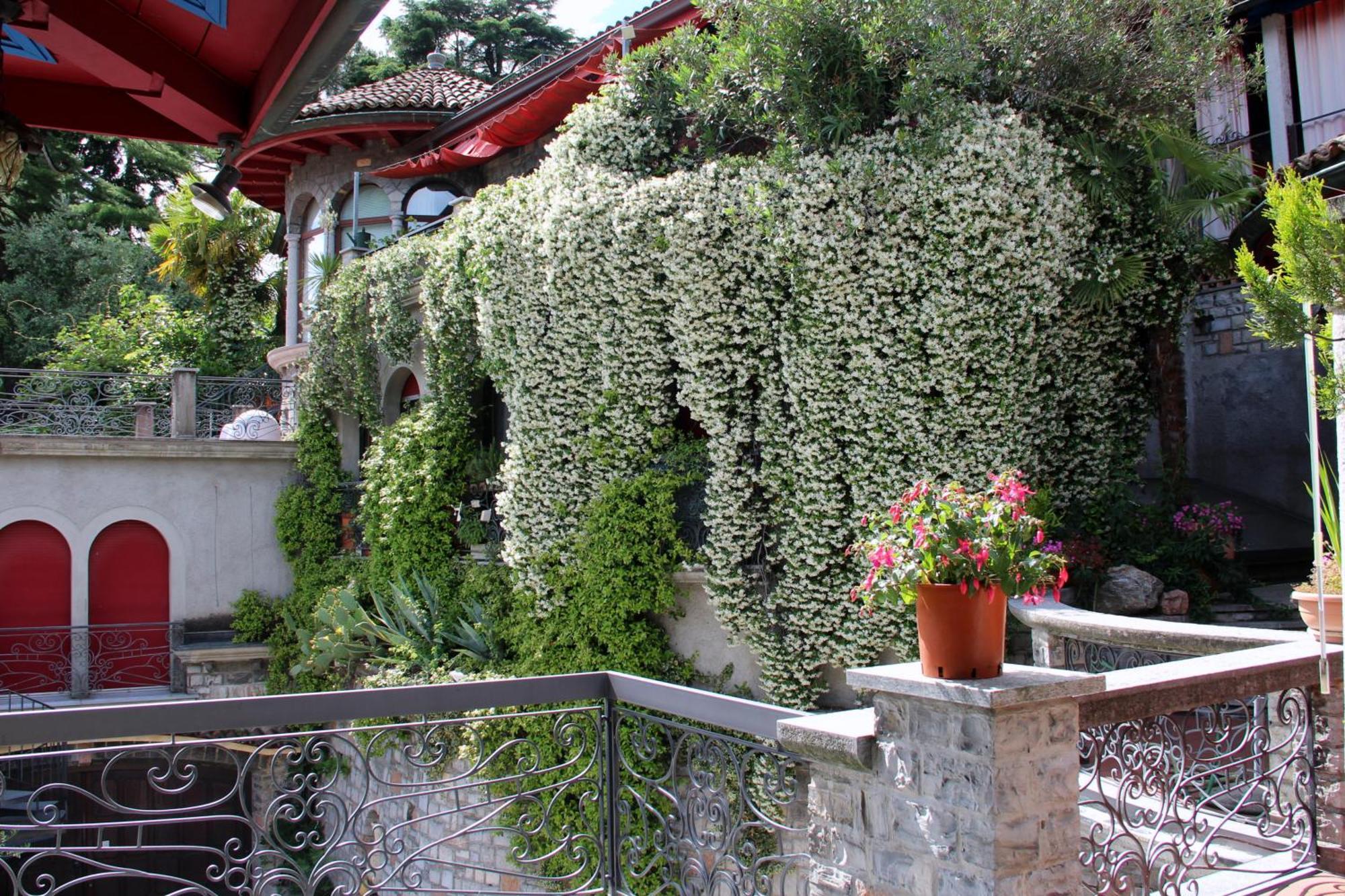 Barony Le Pergole Holiday Apartments Lugano Luaran gambar