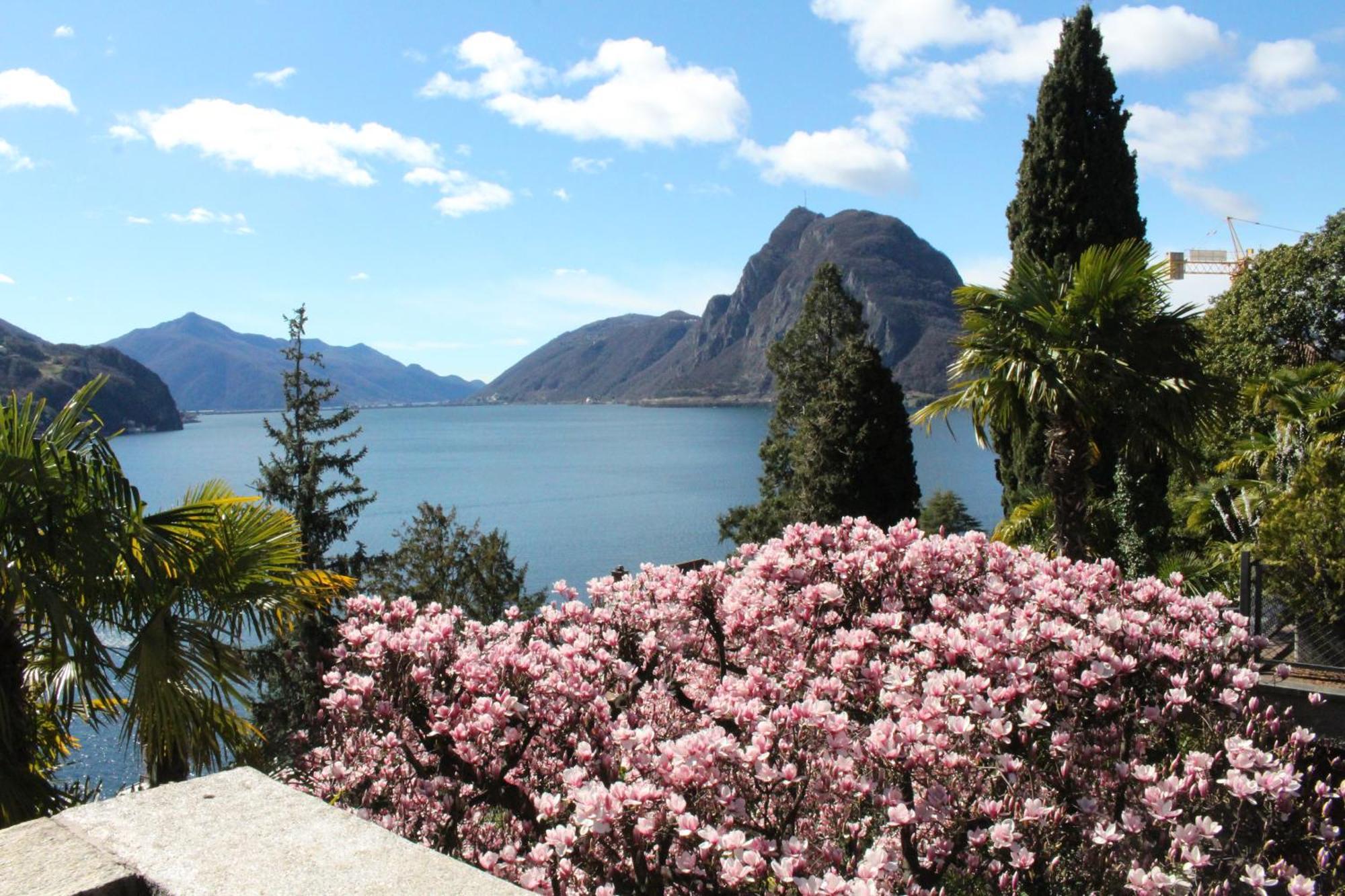Barony Le Pergole Holiday Apartments Lugano Luaran gambar