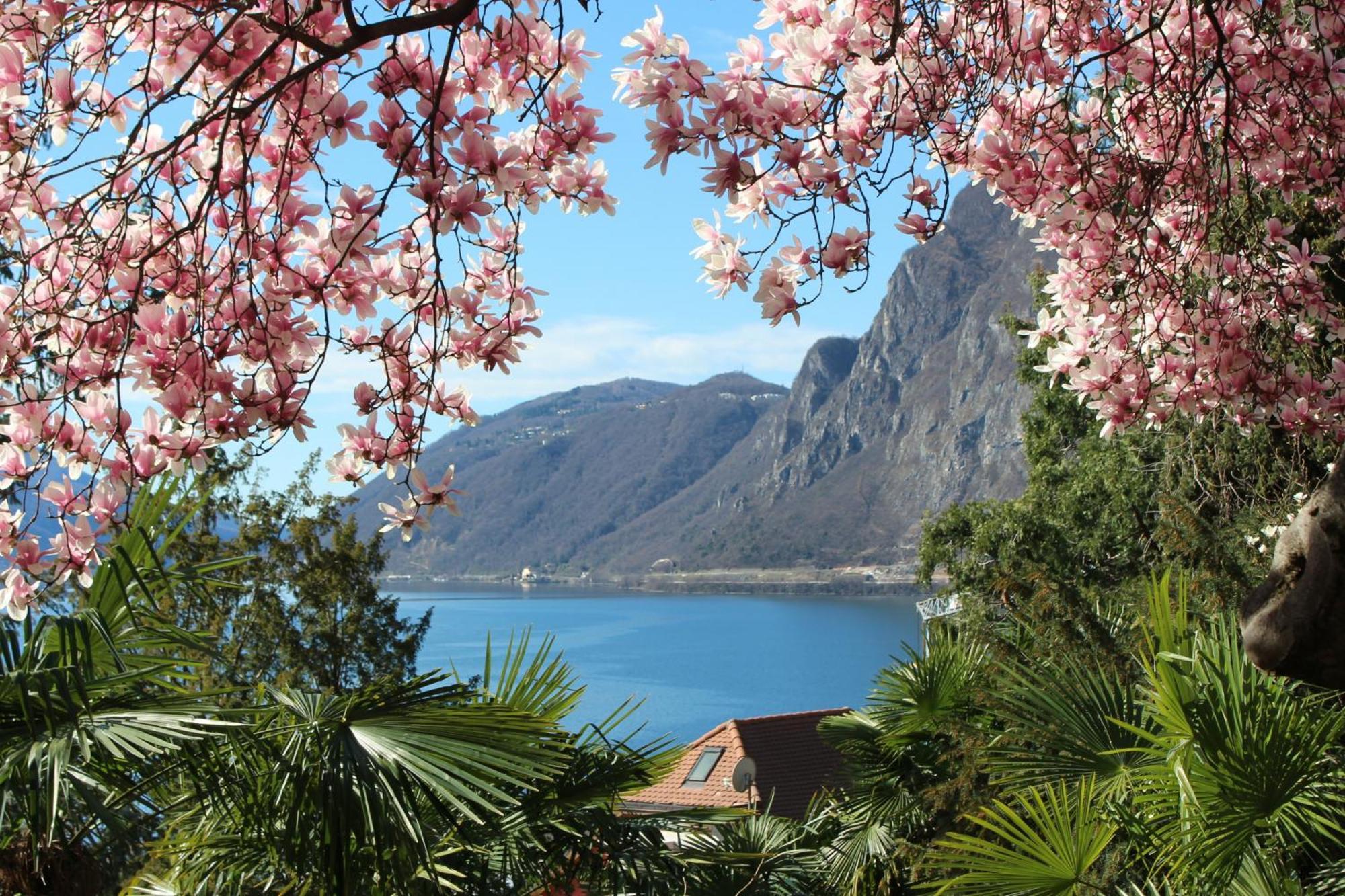 Barony Le Pergole Holiday Apartments Lugano Luaran gambar
