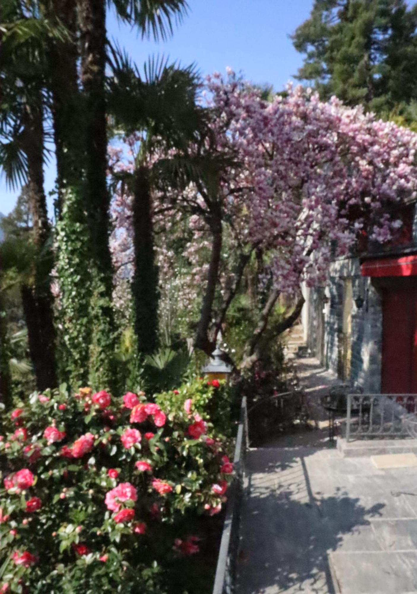 Barony Le Pergole Holiday Apartments Lugano Luaran gambar