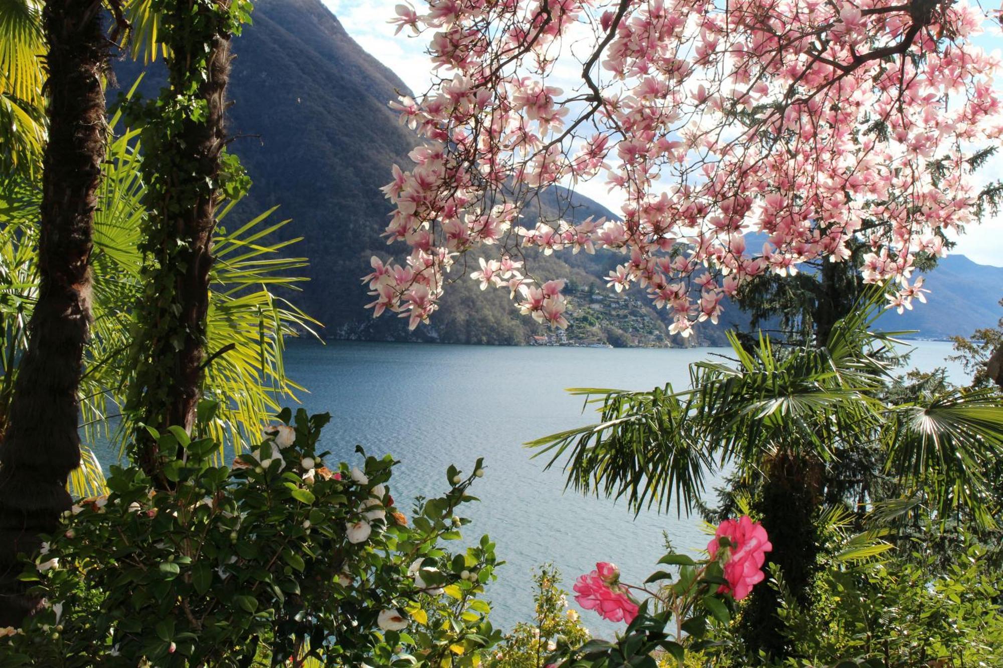 Barony Le Pergole Holiday Apartments Lugano Luaran gambar